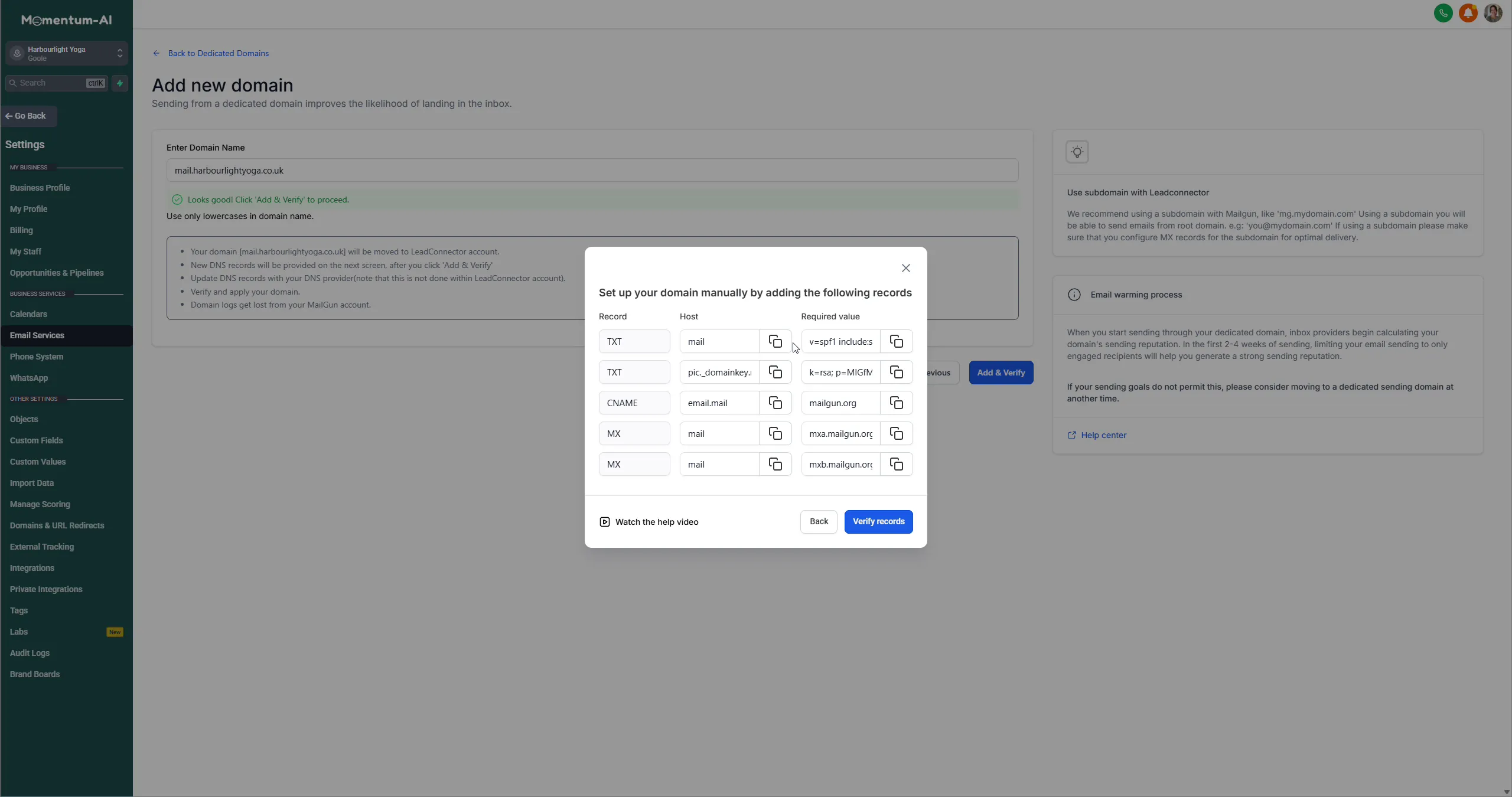 The domain setup window listing the DNS records to copy into your domain provider